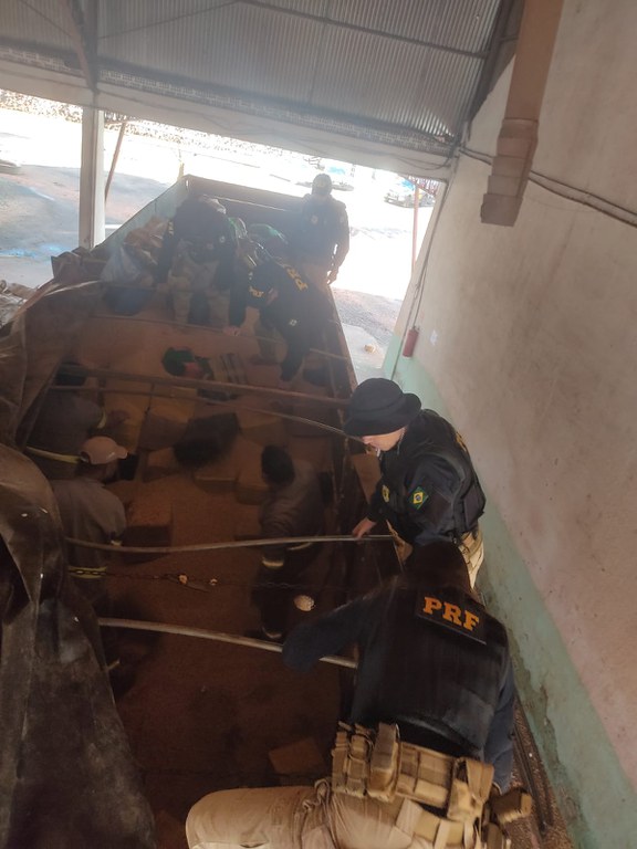 Maior apreensão do ano: PRF apreende 16,1 toneladas de maconha em Ponta Porã (MS)