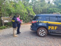 PRFs resgatam arara atropelada na BR-060 em Jardim (MS)