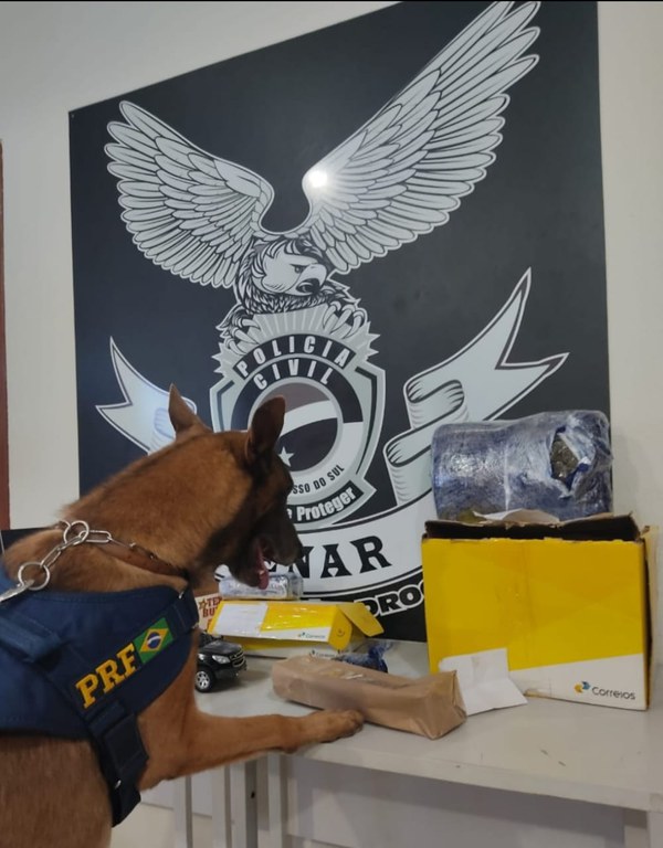 Ação interagências apreende drogas que iriam para SP, MG, SC, PE e Europa