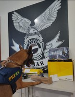 Ação interagências apreende drogas que iriam para SP, MG, SC, PE e Europa