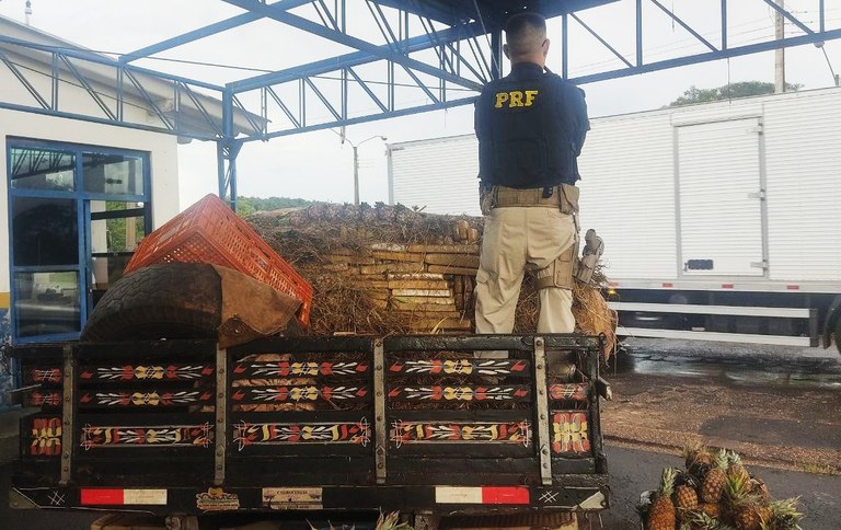 PRF apreende 626 Kg de maconha e skunk em carga de abacaxis na BR-376