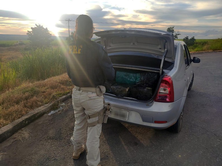 PRF apreende 345 Kg de maconha em Sonora (MS)