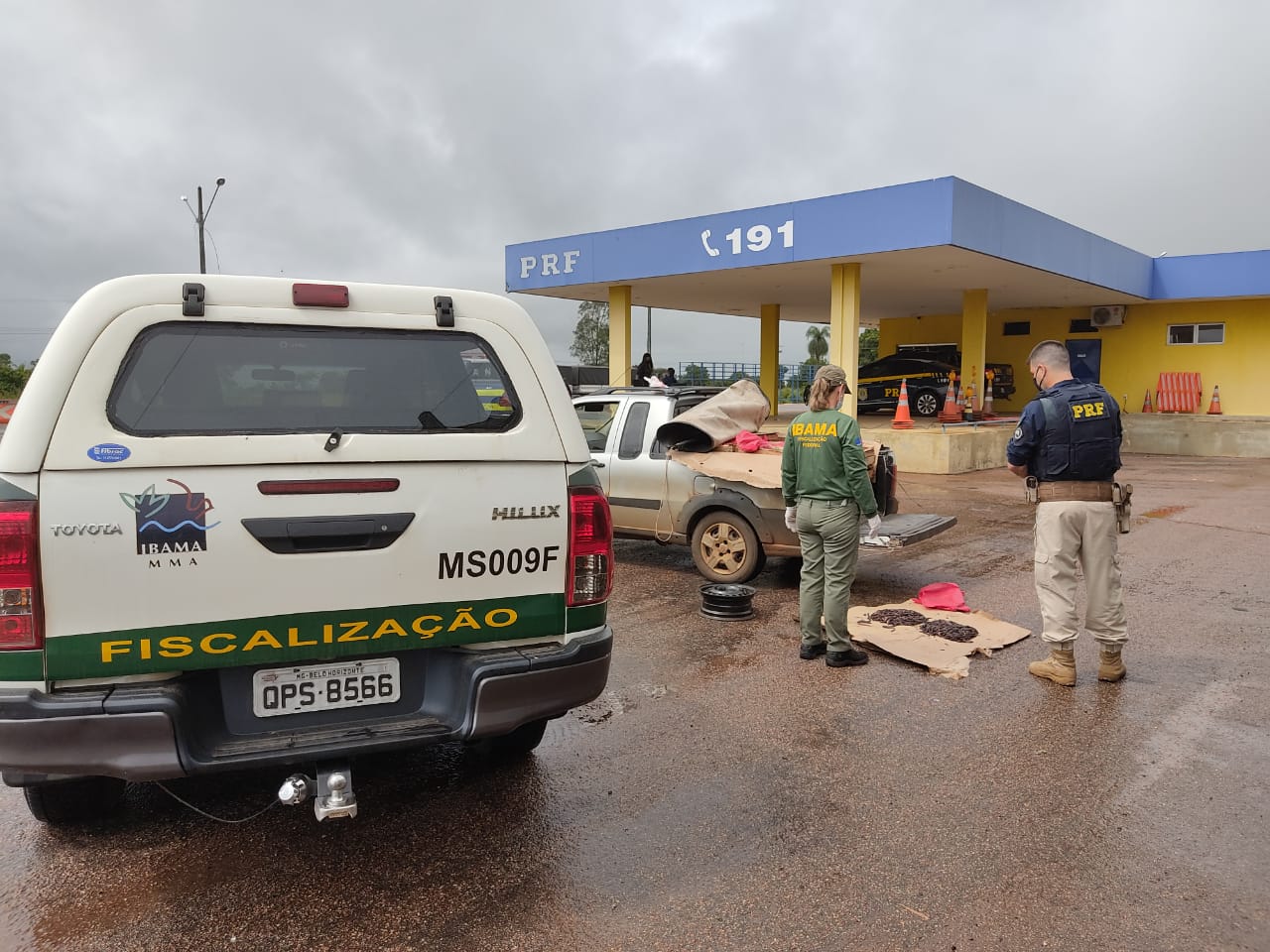 PRF flagra motorista transportando mais de 8 mil minhocuçus em Coxim (MS)2