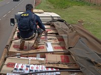 PRF apreende 600 mil maços de cigarros em Caarapó (MS)