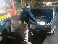 PRF apreende 120 Kg de agrotóxicos em Mundo Novo (MS)