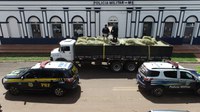 PRF e PMMS apreendem 7 toneladas de maconha em Bela Vista (MS)