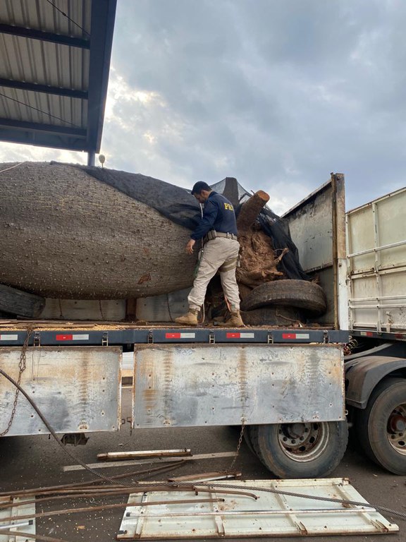 PRF apreende 158,7 Kg de cocaína em Eldorado (MS)
