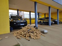 PRF apreende 432,5 Kg de maconha e 11,5 Kg de skunk em Mundo Novo (MS)