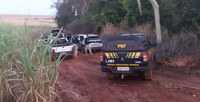 PRF apreende mais de 2 toneladas de maconha em Rio Brilhante (MS)