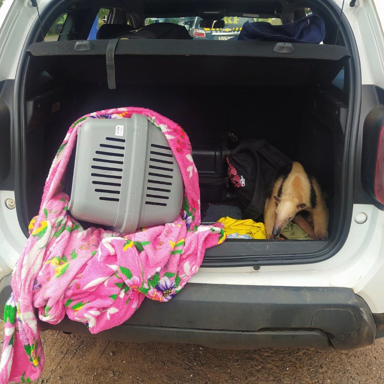 WhatsApp Image 2022-12-02 at 13.56.40 (1).jpeg