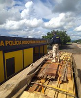 Polícia Rodoviária Federal em Sorriso/MT retirou de circulação carga de madeira indevidamente extraída da floresta amazônica