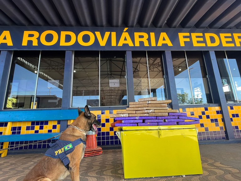 WhatsApp Image 2022-07-26 at 13.50.10.jpeg