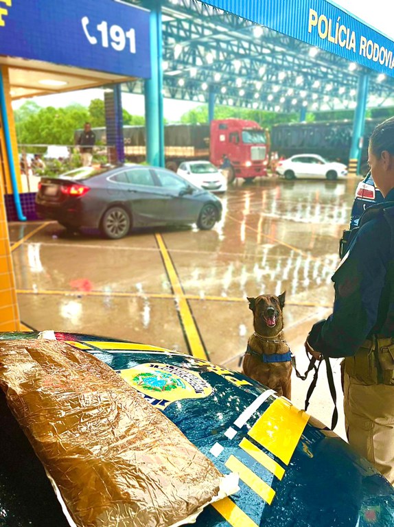 WhatsApp Image 2022-10-24 at 08.13.33.jpeg