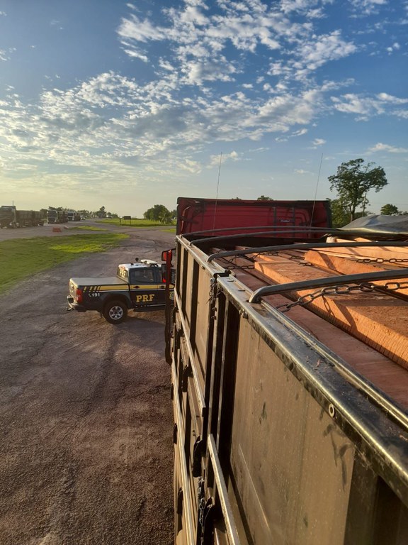 WhatsApp Image 2022-10-24 at 08.04.43.jpeg