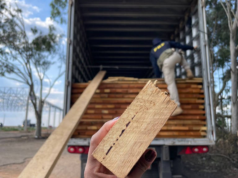 499885f9-cf92-4f44-ba0f-cfde6185b28a.jfif