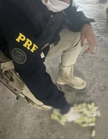 Ação Bem-Sucedida da Polícia Rodoviária Federal (PRF) impede Tráfico de drogas com Precisão