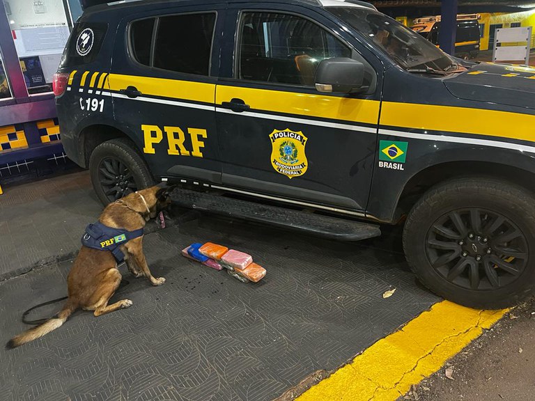 WhatsApp Image 2023-12-15 at 10.39.53.jpeg