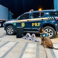 Em menos de 12 horas, PRF faz duas apreensões de drogas com o auxílio dos cães farejadores