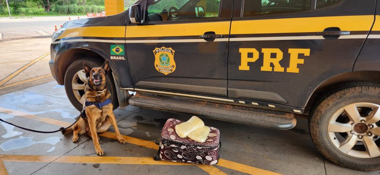 WhatsApp Image 2023-01-23 at 15.37.37.jpeg