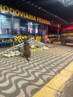 Em Rondonópolis-MT, PRF apreende 180kg de cocaína