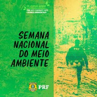 Semana Nacional do Meio Ambiente: PRF tem como uma de suas missões a preservação dos recursos naturais