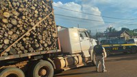 Em Confresa-MT, PRF apreende 70 m³ de produto florestal sendo transportados sem a documentação necessária