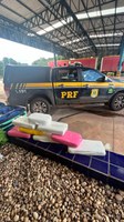 Em Cuiabá / MT, PRF encontra substância entorpecente sendo transportada em ônibus