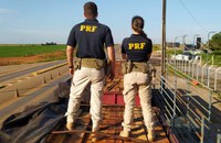 Em Sorriso-MT, PRF apreende 64,26m³ de madeira serrada sendo transportada de forma ilegal