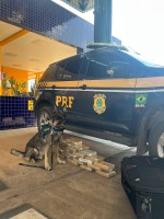 Apreensão de 26 Kg de Drogas e Prisão de Suspeitos Reforçam Compromisso da Polícia Rodoviária Federal na Segurança Rodoviária