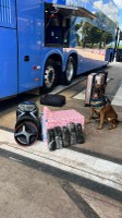 Cuiabá/MT: com auxílio de cão farejador, PRF encontra cocaína escondida em caixa de som
