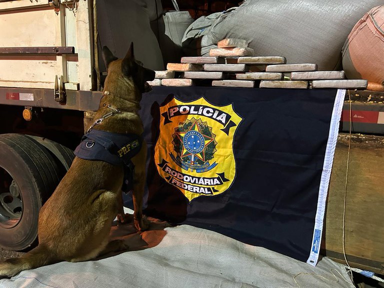 WhatsApp Image 2023-10-11 at 10.49.00.jpeg