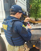 Em Cáceres-MT, PRF finaliza “Operação Arla-32”