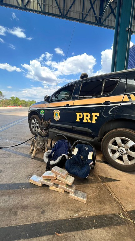 WhatsApp Image 2023-09-12 at 12.40.19.jpeg