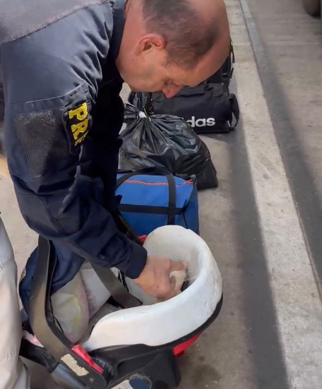 WhatsApp Image 2023-09-12 at 12.46.06 (1).jpeg