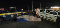 Em Jangada-MT, PRF apreende 273kg de cocaína