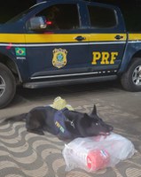 Em Rondonópolis-MT, cães farejadores da PRF localizam droga em cestas básicas