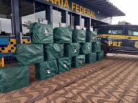 Em Rondonópolis-MT, PRF apreende mais de meia tonelada de cocaína com alto grau de pureza