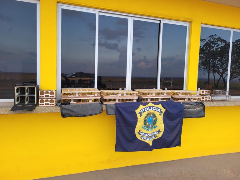 WhatsApp Image 2023-09-01 at 08.30.12.jpeg