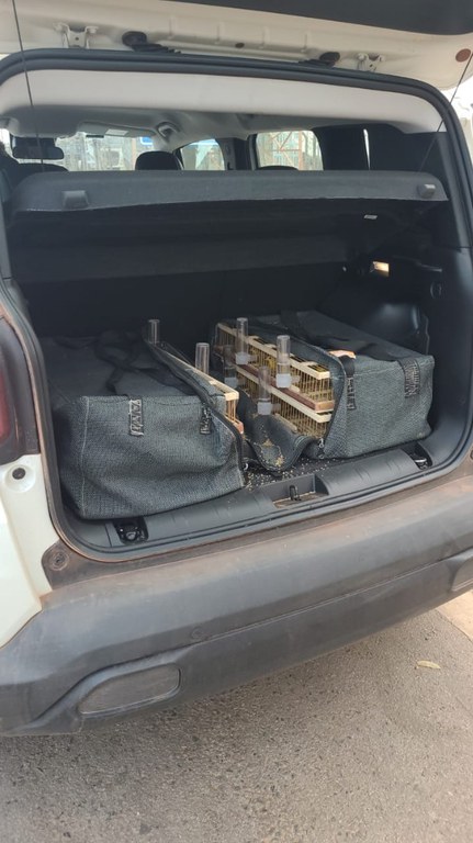 WhatsApp Image 2023-09-01 at 08.30.26.jpeg