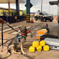 Desafios na Fiscalização: Combate ao Tráfico de Drogas nas Rodovias Brasileiras