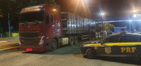 Transporte criminoso de madeira: Duas apreensões no mesmo dia em Rondonópolis - MT