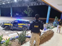 PRF apreende aproximadamente 300 quilos de entorpecentes nas últímas 24 horas em Mato Grosso