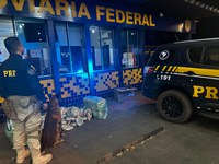 K9: Apreensão de 110 quilos de Skunk em ônibus interestadual