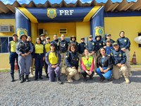 Operação "Rosas de Aço" : Combate a Importunação Sexual