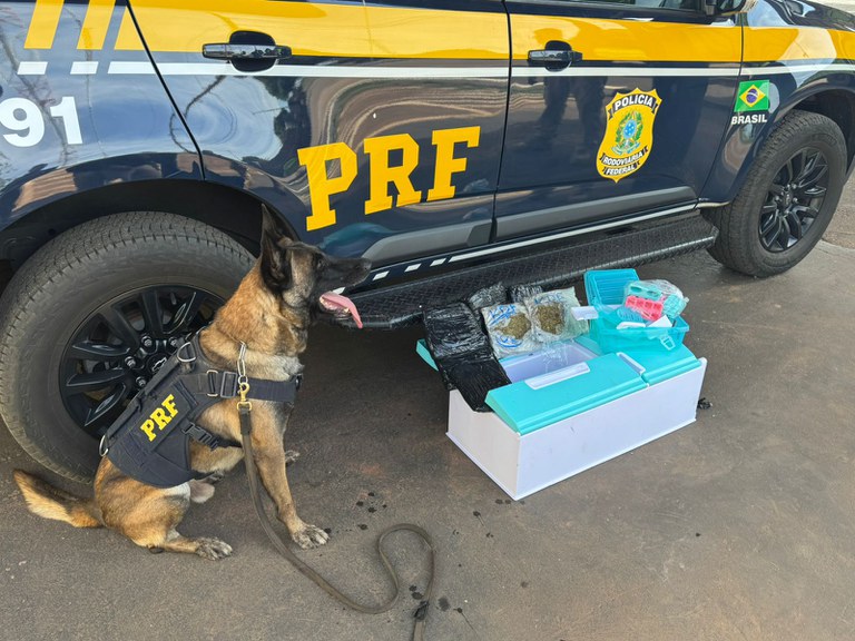 WhatsApp Image 2025-05-06 at 10.02.47.jpeg