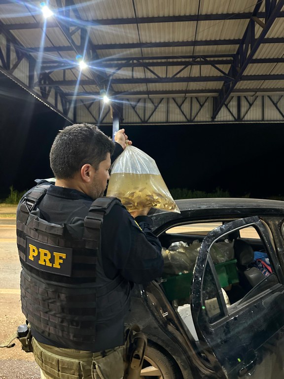 WhatsApp Image 2025-02-03 at 00.57.04.jpeg