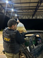 Durante período de defeso da piracema: PRF apreende mais de 3 mil peixes ornamentais em Sorriso/MT