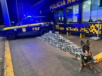 PRF apreende 176 kg de cocaína em compartimento oculto de caminhão na BR-364 em Rondonópolis (MT)
