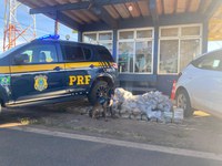 PRF apreende 84 kg de skunk e prende homem por tráfico de drogas em Alto Garças/MT