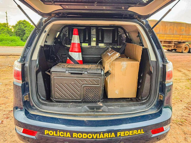 WhatsApp Image 2025-11-03 at 09.36.46 (1).jpeg